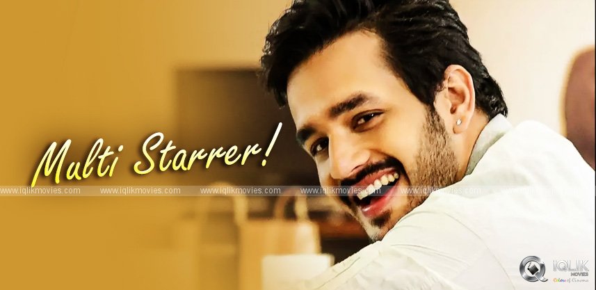 akhil-looking-for-a-multi-starrer