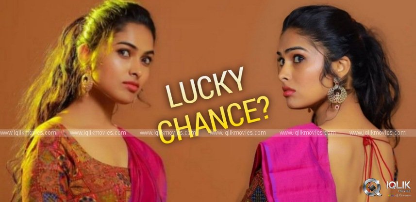 divi-vadthya-gets-lucky-chance