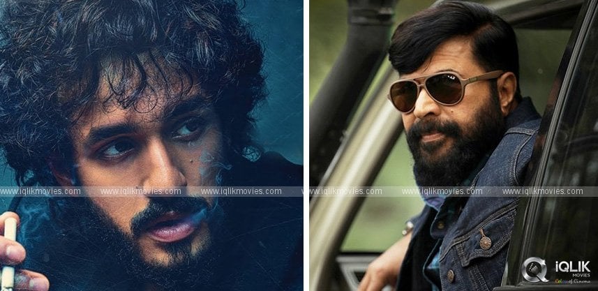 mammootty-gets-3-cr-for-akhil-s-agent