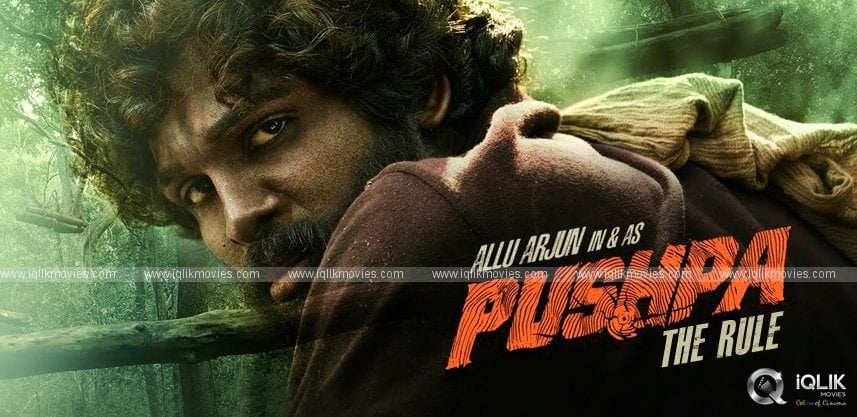 pushpa-the-rule-story-details