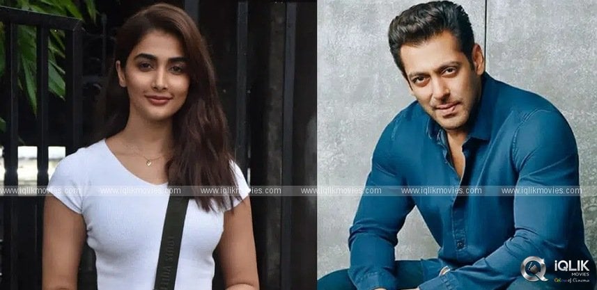 pooja-hegde-s-delayed-project-with-salman-khan