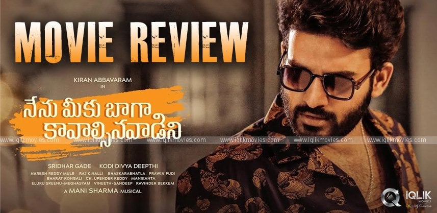 Nenu Meeku Baaga Kavalsinavaadini Movie Review and Rating