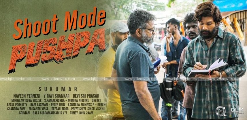 non-stop-filming-of-pushpa-underway
