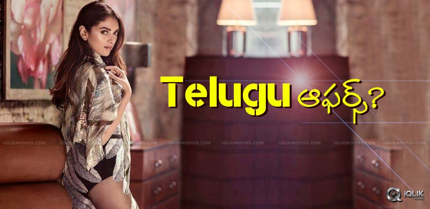 discussion-over-telugu-offers-for-aditi-rao-hydari