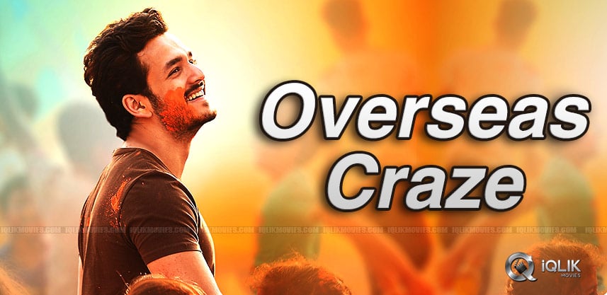 akhil-hello-us-collections-details-