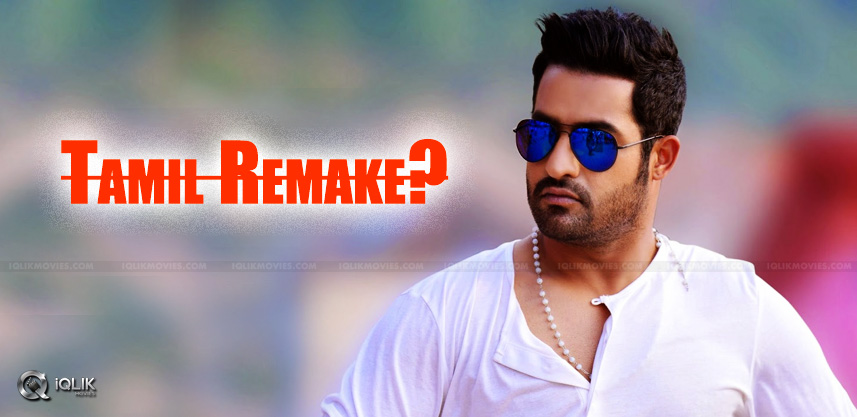 speculations-about-jr-ntr-in-kaththi-telugu-remake