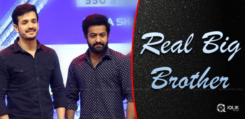 jr-ntr-is-the-real-big-brother-in-tollywood