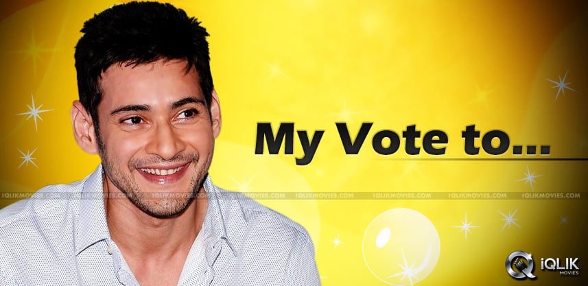Mahesh Babu Supports A Political Party!