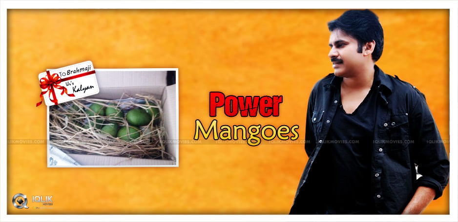 pawan-kalyan-sent-mangoes-to-brahmaji-from-farm