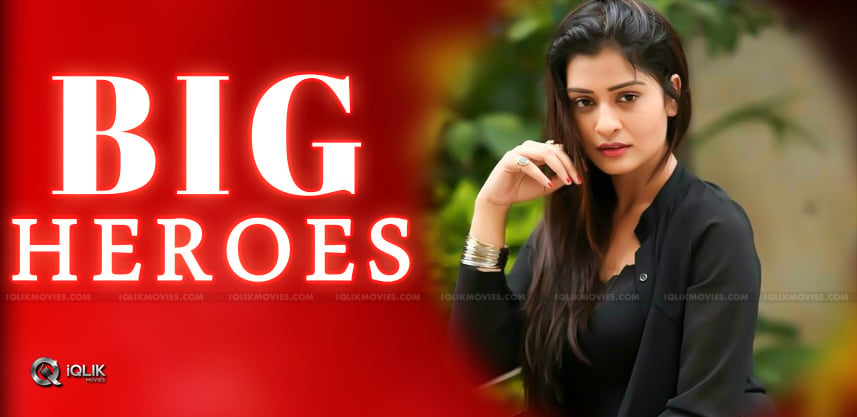 payal-rajput-film-offers-with-big-heroes