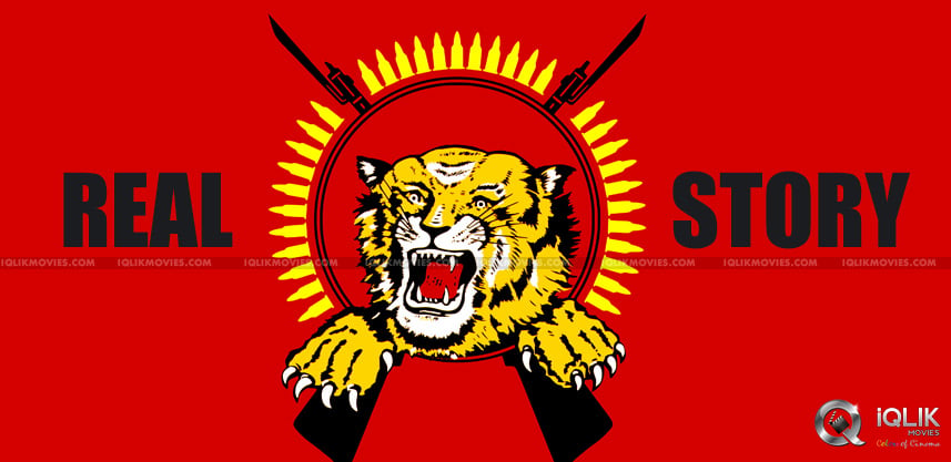 Film-On-Deceased-Sri-Lankan-Tiger
