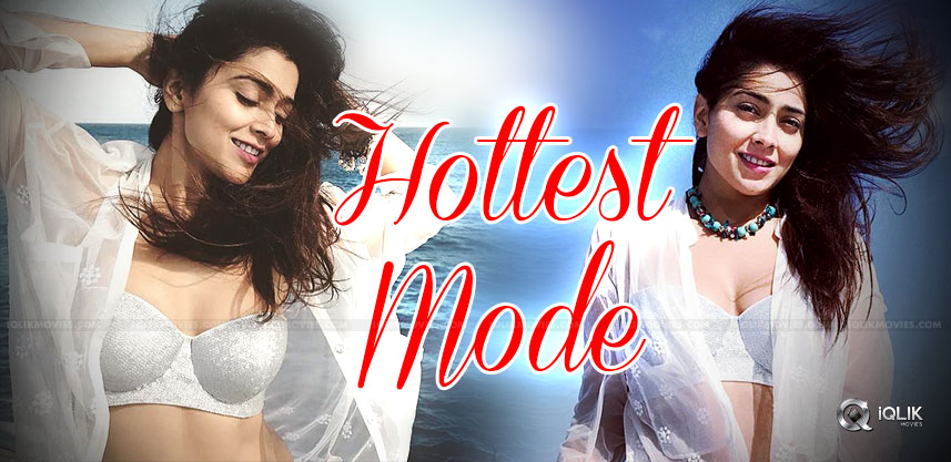 shriya-saran-in-her-hottest-mode