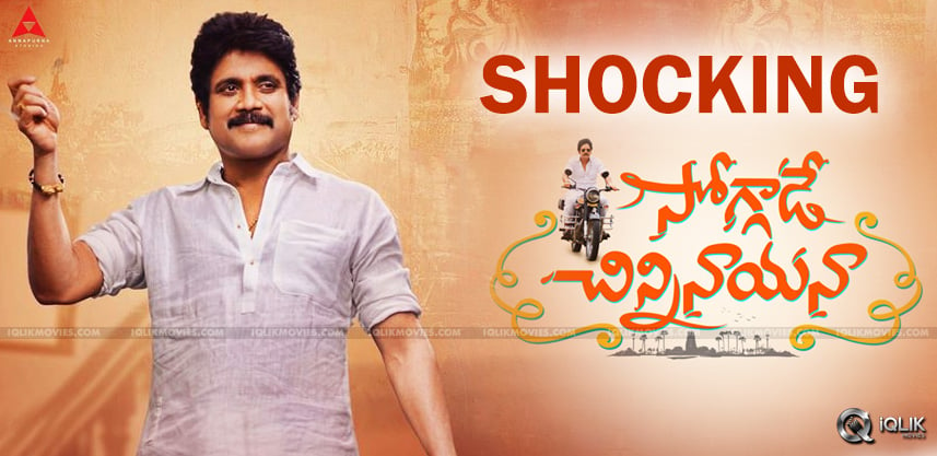 soggade-chinni-nayana-first-week-collections