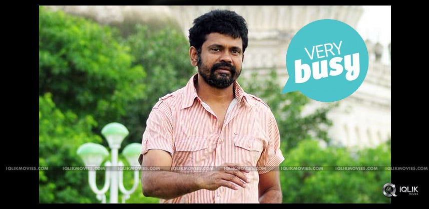 sukumar-different-films-with-different-heroes