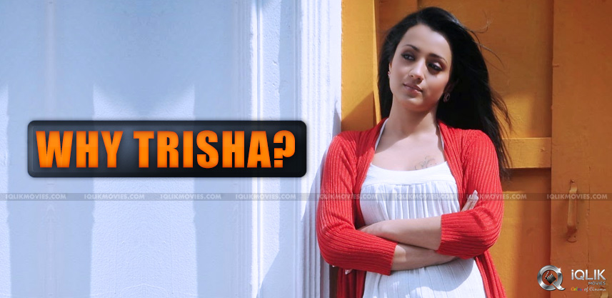 trisha-krishnan-keeps-tollywood-away-from-party
