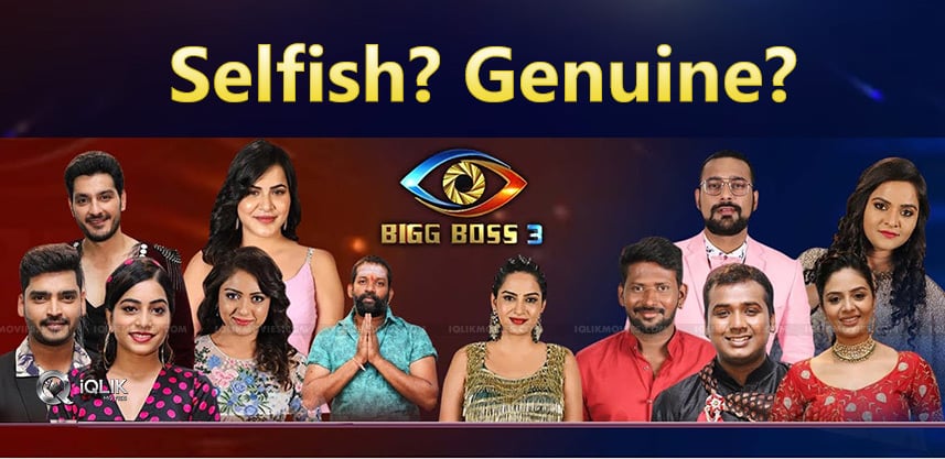 bigg-boss3-geuine-and-selfish-contestants