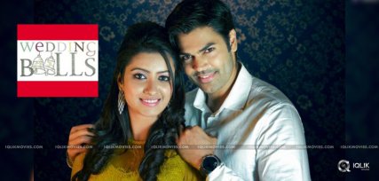 ganesh-venkatraman-marriage-with-nisha-krishnan