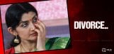 malayalam-actress-divya-unni-divorce-details