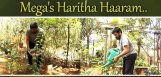 chiranjeevi-haritha-haram-tollywood-celebs