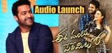 ntr-attend-ee-maya-peremito-audio-details