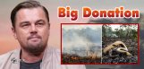 leonardo-massive-donation-amozon-forest