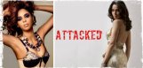 mallika-sherawat-attacked-in-paris-apartment