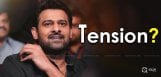 prabhas-marriage-is-under-discussion