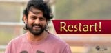 prabhas-film-to-resume-from-July