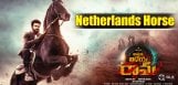 netherlands-horse-for-ram-charan