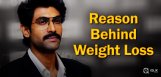 rana-weight-loss-for-ntr-biopic-details