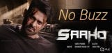 saaho-needs-to-bring-some-buzz-full-details-