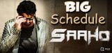 saaho-movie-will-have-a-four-month-schedule