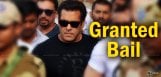 salman-khan-gets-bail-to-be-released-evening-