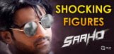 shades-of-saaho-chapter-two-shocking-record