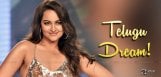 twood-dreams-for-sonakshi-sinha