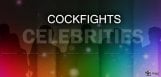 tollywood-celebrities-to-attend-cockfights