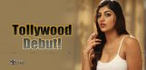 Buxom-Baby-To-Make-Debut-In-Tollywood