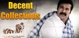 decent-collections-for-yatra-movie