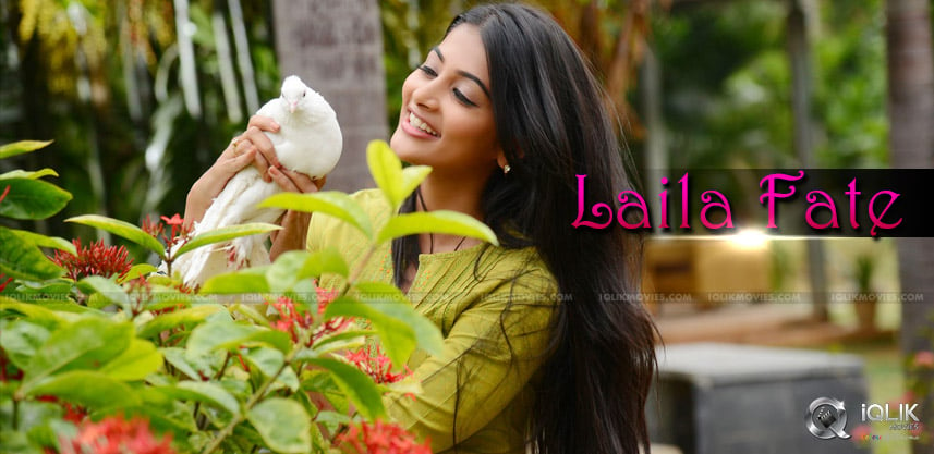 mukunda-success-is-important-for-pooja-hegde