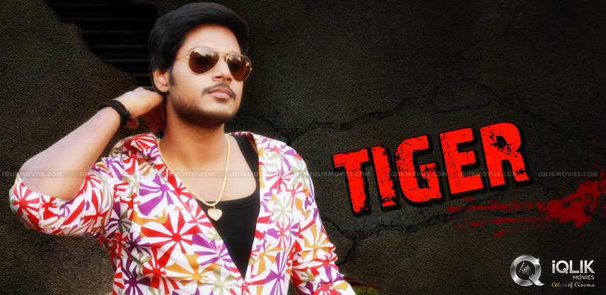 sundeep-kishan-rahul-ravindran-film-titled-tiger