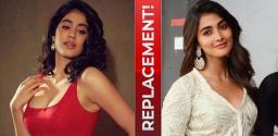 janhvi-kapoor-to-grab-pooja-hegde-offer
