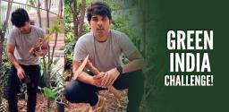 allu-sirish-accepts-green-india-challenge-plants-saplings