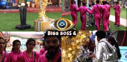 bigg-boss-telugu-episode-17-physical-task-creates-curiosity