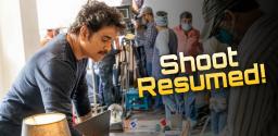 nagarjuna-wild-dog-shoot-resumed