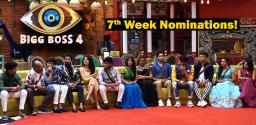 bigg-boss-telugu-exclusive-abhi-noel-divi-avinash-monal-ariyana-in-7th-week-nomi
