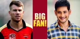 mahesh-babu-is-my-favorite-hero-david-warner