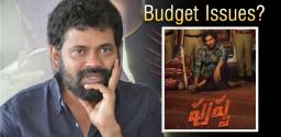 budget-troubles-for-allu-arjun-sukumar-pushpa