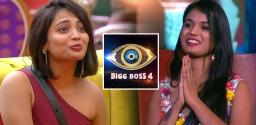 bigg-boss-telugu-4-episode-100-highlights-harika-ariyana
