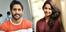 naga-chaitanya-to-romance-chinnari-pellikuturu