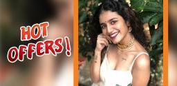 priya-prakash-varrier-upcoming-movies